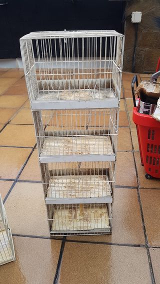 Jaulas para pajaros. Regalo comederos