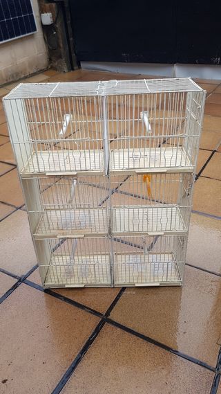 Jaulas para pajaros. Regalo comederos