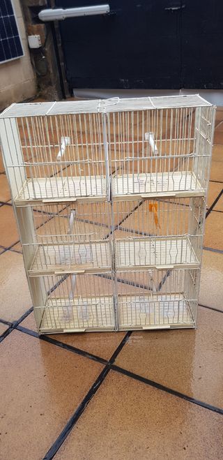 Jaulas para pajaros. Regalo comederos