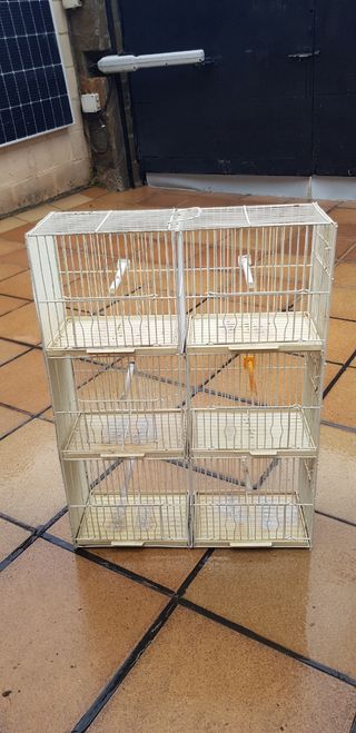 Jaulas para pajaros. Regalo comederos