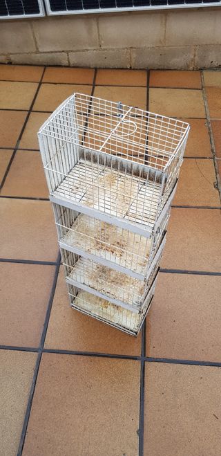 Jaulas para pajaros. Regalo comederos