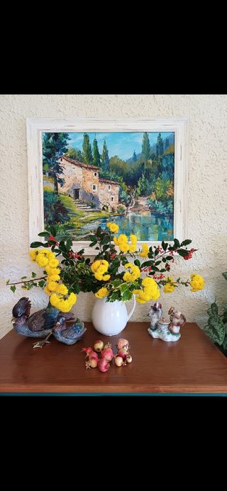 Crisantemos coreanos. Perenne. 