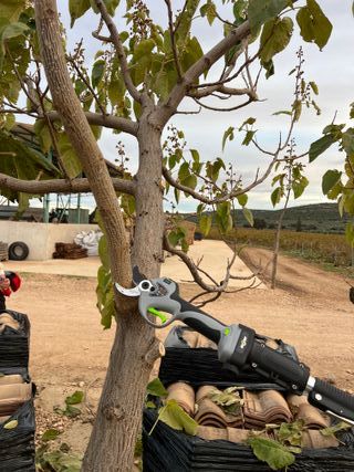 Tijera de Poda Eléctrica AgroTools Phoenix 1200W