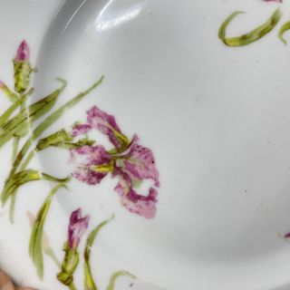 Limoges France. Antiguos