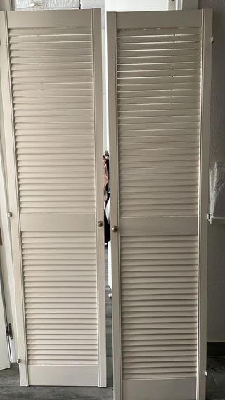 2 PUERTAS DE ARMARIO