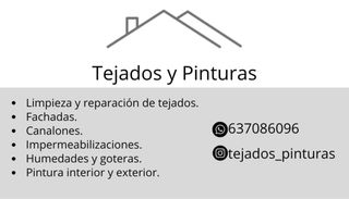 Tejados y Pintura