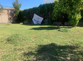 Jardinero económico