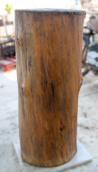 Tronco