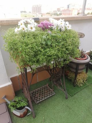 Jardineras o huertos