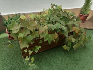 Jardineras o huertos