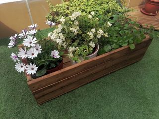 Jardineras o huertos