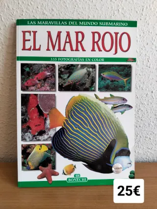 GUIAS ESPAÑA Y EXTRANJERO ( varias fotos )