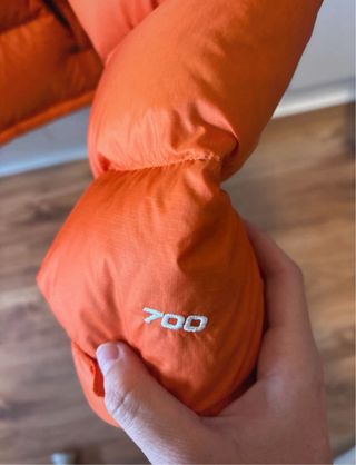 The north face retro nuptse 1996 puffer