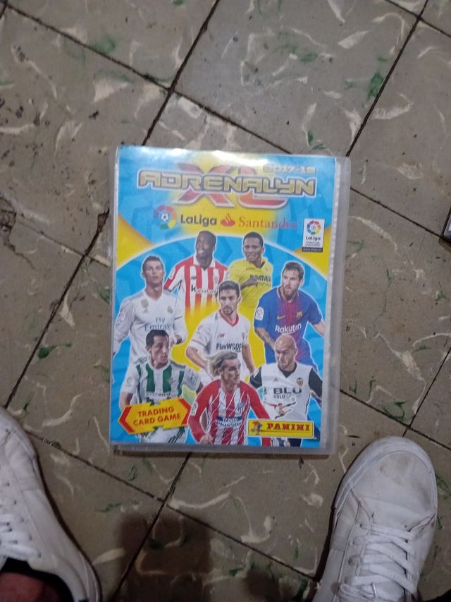 Álbum de cromo año 2017-2018