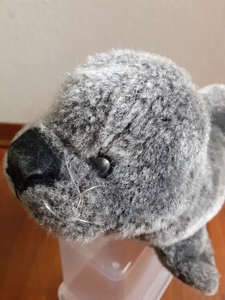Peluche foca 