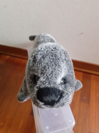 Peluche foca 