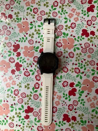 Garmin fenix 5xplus.