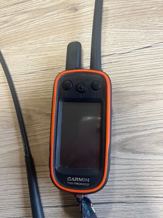 Garmin alpha 100