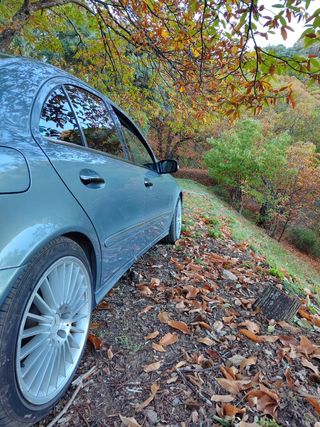 Despiece mercedes benz e320 cdi 3.2