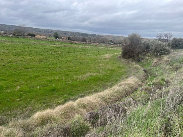 Terreno  rustico Morata