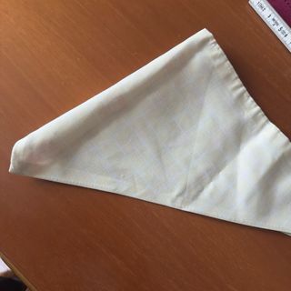 Bandana cane