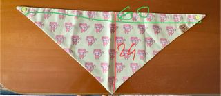 Bandana cane