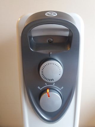 Radiador de Aceite 1000 W