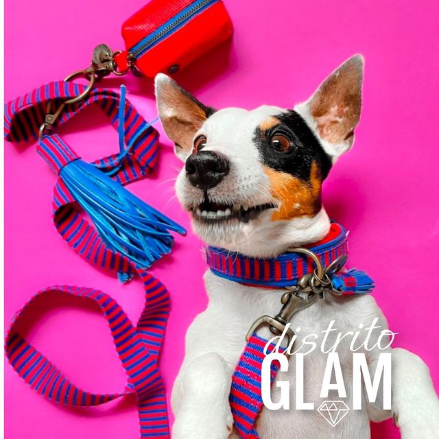 Collar para mascota tela 