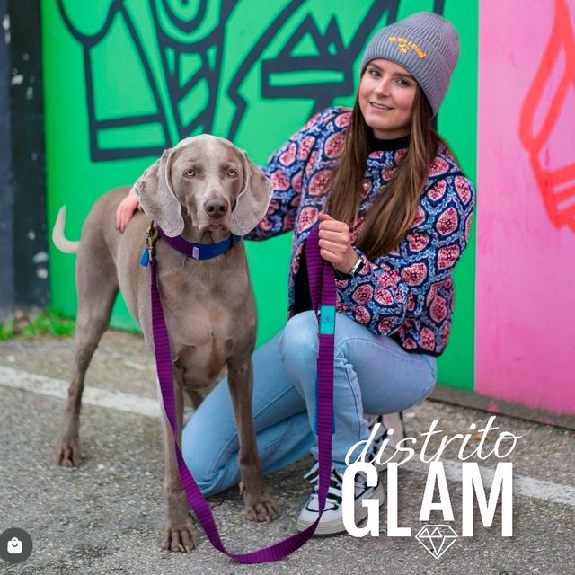 Collar para mascota tela 