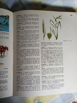 Diccionario infantil ilustrado 1970