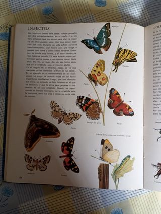 Diccionario infantil ilustrado 1970