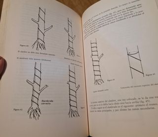 De Tura Bovet Manual Practico De Bonsai