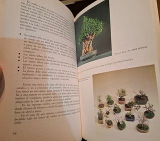De Tura Bovet Manual Practico De Bonsai