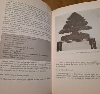 De Tura Bovet Manual Practico De Bonsai
