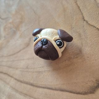 Calamita magnete  cane carlino