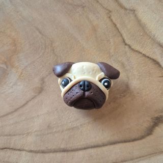 Calamita magnete  cane carlino