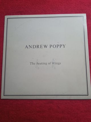 Andrew Poppy – The Beating Of Wings