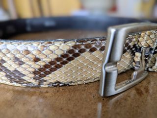Cintura Manufacture D'essai vera pelle pitone