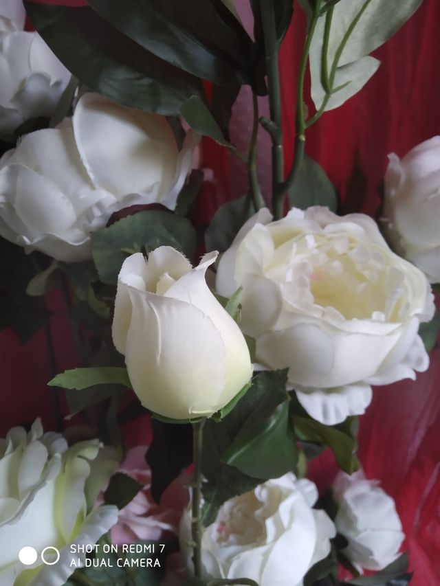 Flor tela, X 2. calidad decoración, fotos.