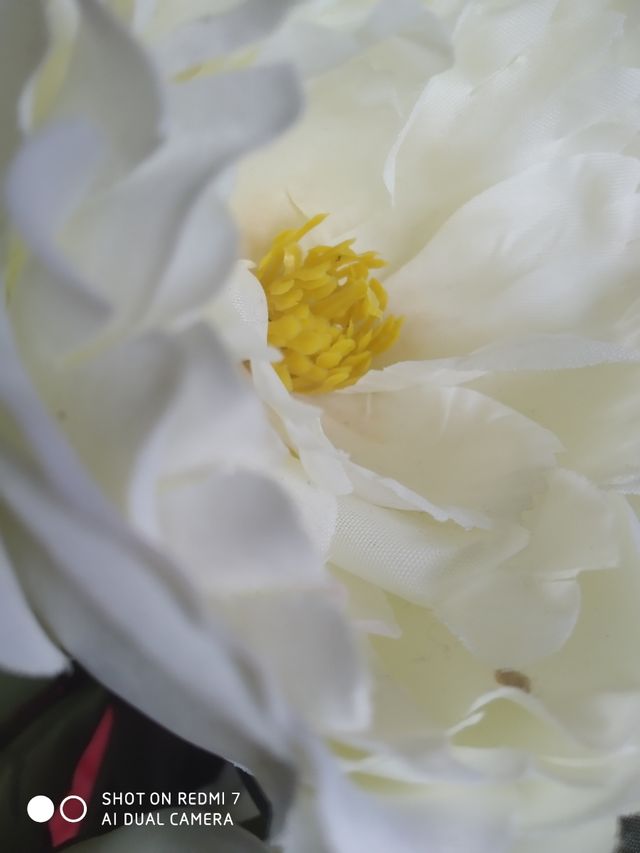 Flor tela, X 2. calidad decoración, fotos.