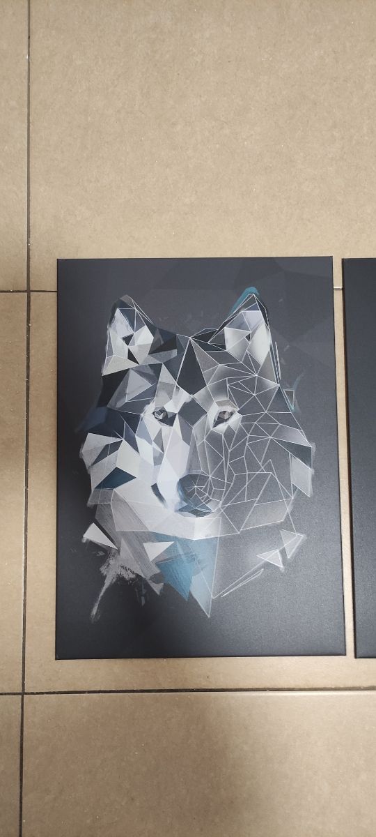 Pòsters displate metálicos animales