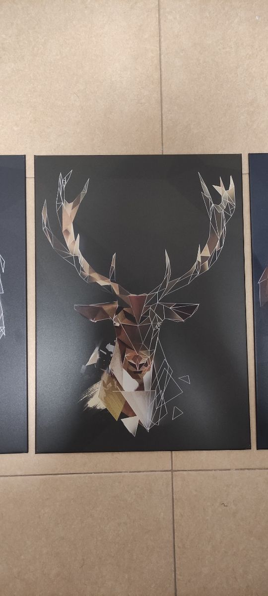 Pòsters displate metálicos animales