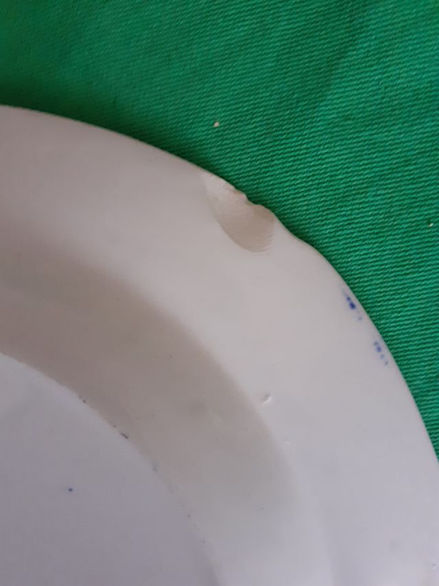 Staffordshire Burliegh Ironestone Piatti piani