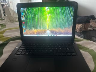 Dell latitud 3380 13” 6ta generacion 