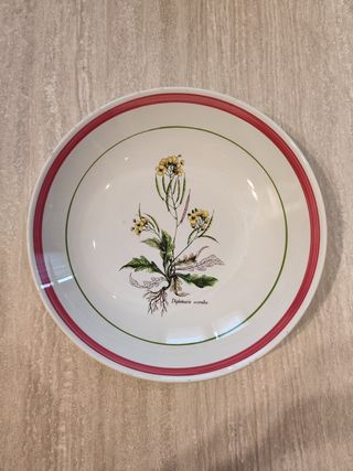 Piatto grande portafrutta