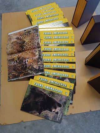 Nacional Geográphic