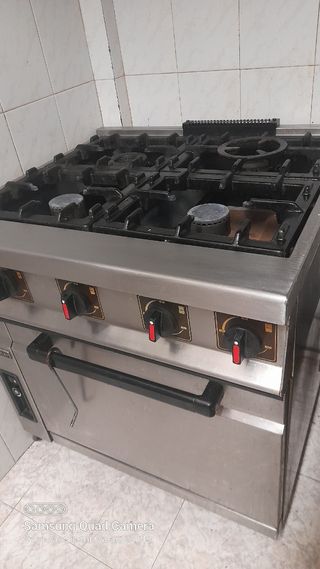 Cocina industrial de propano REPAGAS 4 f