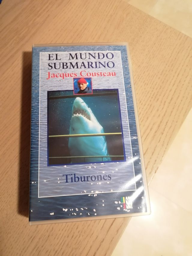 Nastri da pesca e squali