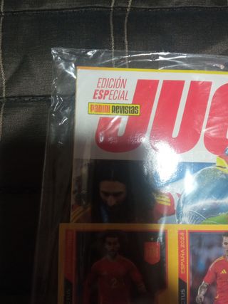 JUGÓN especial España campeón