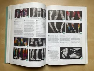 Anatomy for 3D Artists